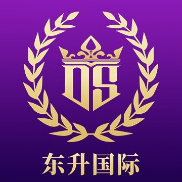 东升国际